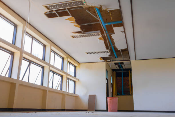 Best Flood damage cleanup  in Wyndham, VA
