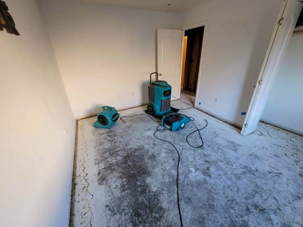 Best Water damage restoration near me  in Wyndham, VA