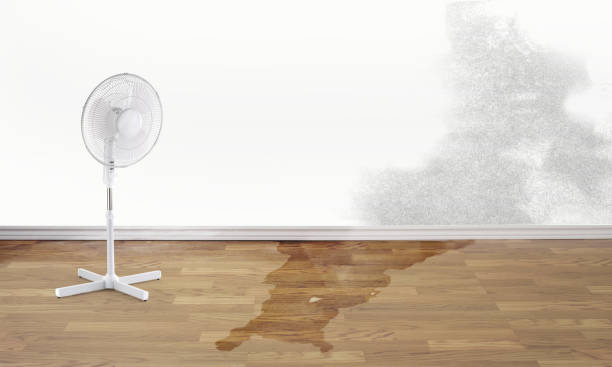 Best Water damage repair service  in Wyndham, VA