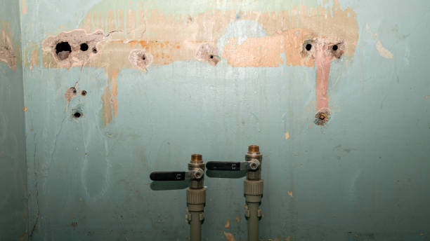 Best Water damage restoration near me  in Wyndham, VA