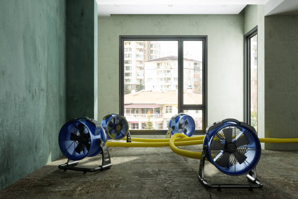 Best Fire Damage Restoration  in Wyndham, VA