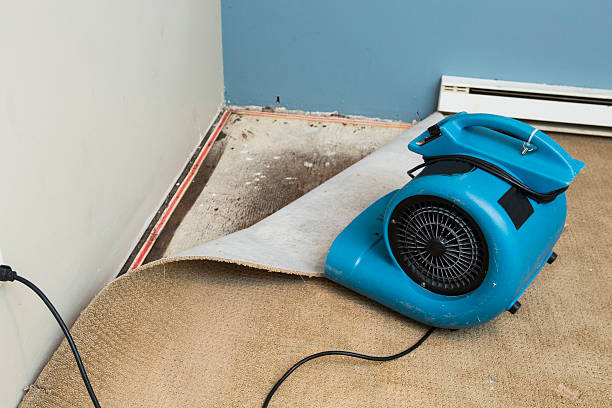 Best Carpet water damage restoration  in Wyndham, VA